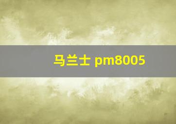 马兰士 pm8005